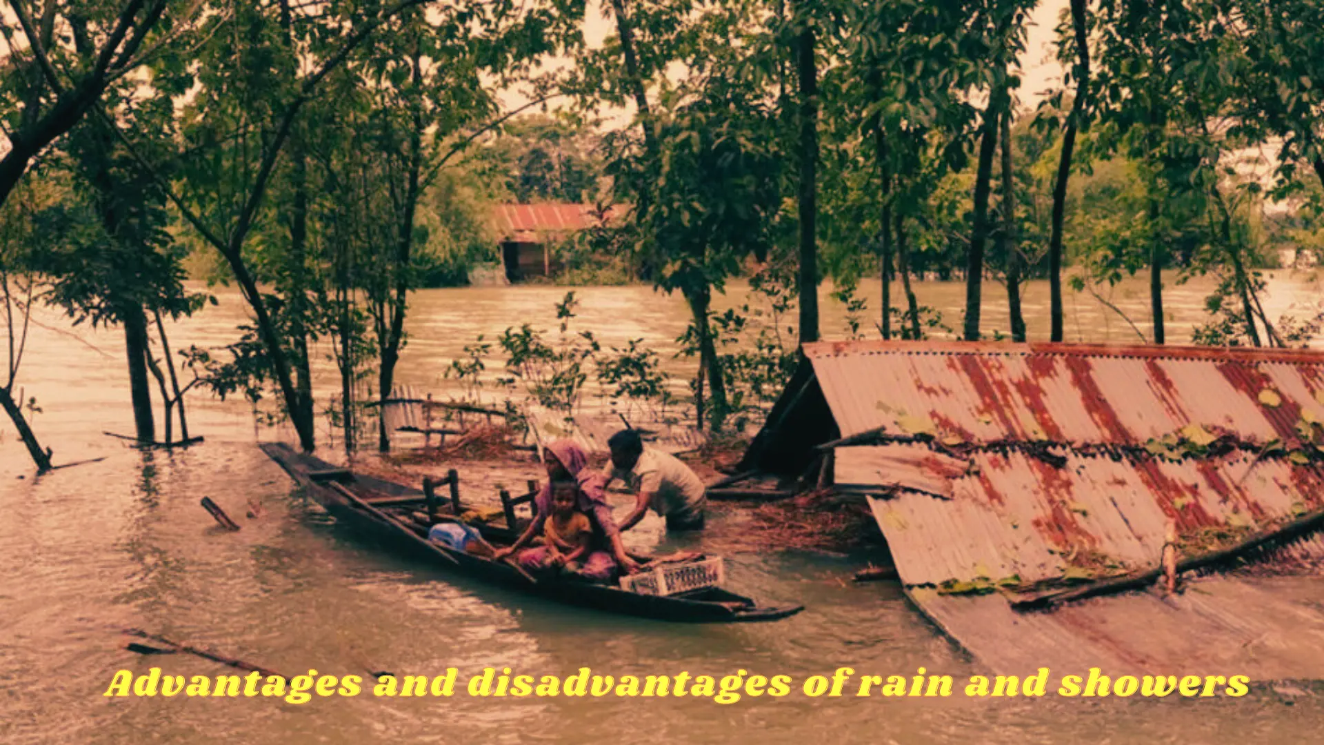 Advantages-and-disadvantages-of-rain-and-showers.