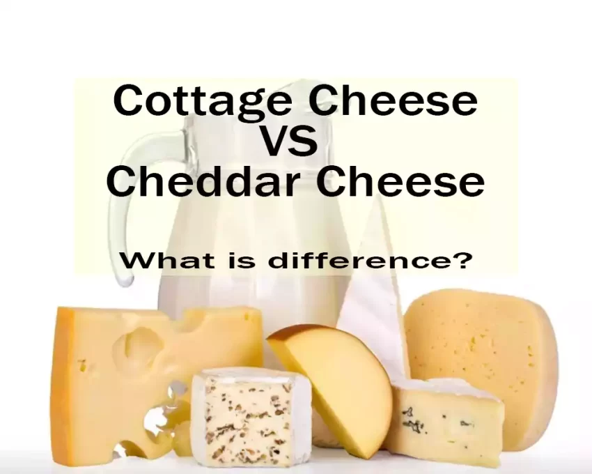 Cottage Cheese and Cheddar Cheese