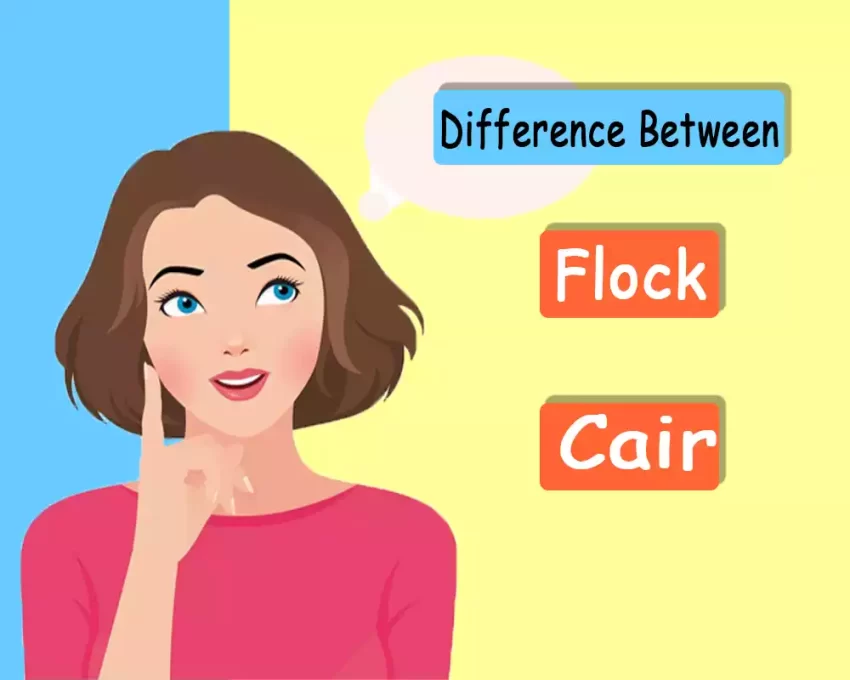 Flock and Cair