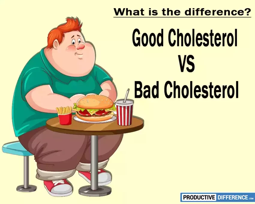 Good Cholesterol and Bad Cholesterol