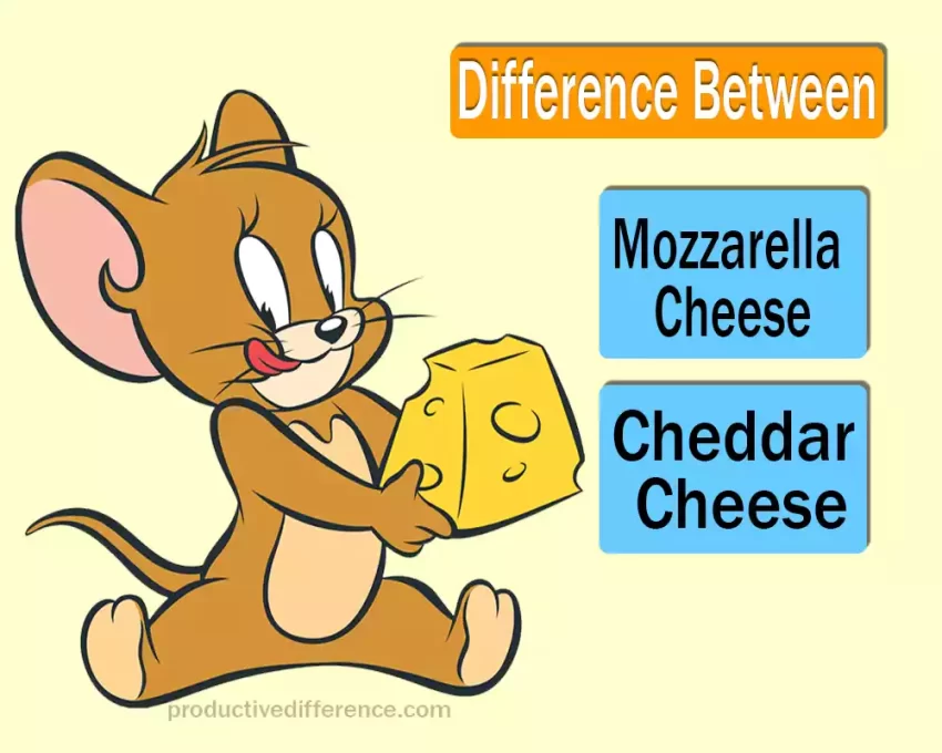 Mozzarella Cheese and Cheddar Cheese