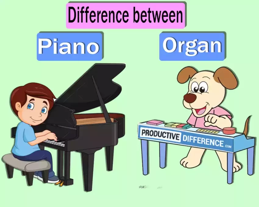 Organ and Piano
