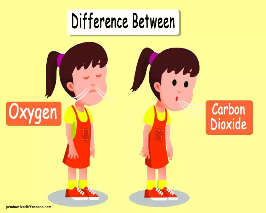 Oxygen and Carbon Dioxide