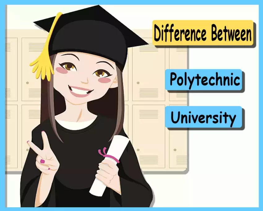 Polytechnic and University