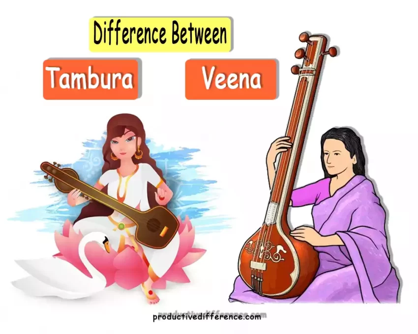 Tambura and Veena