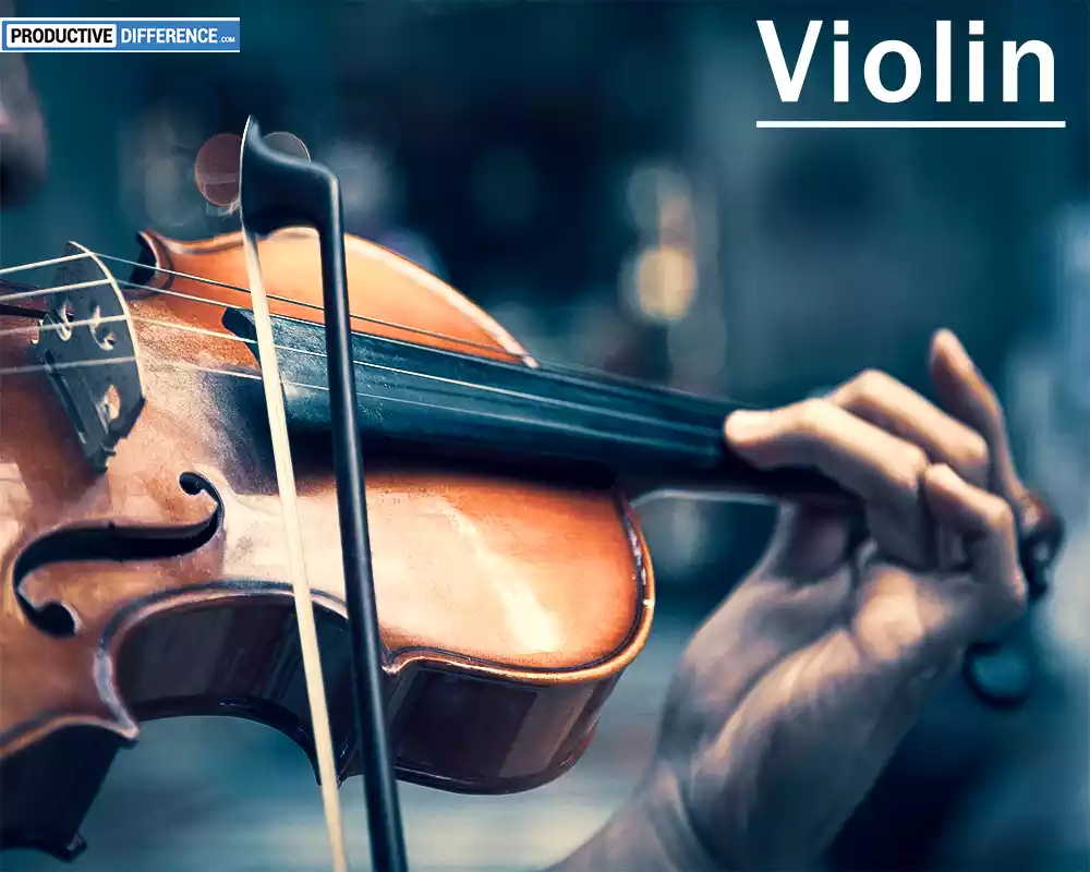 Violin