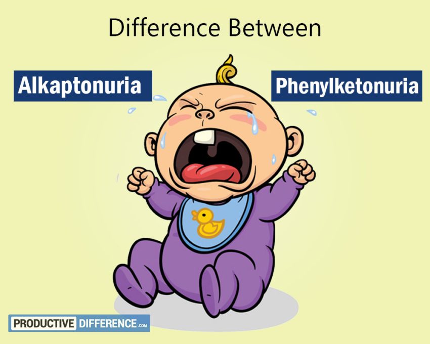Alkaptonuria and Phenylketonuria