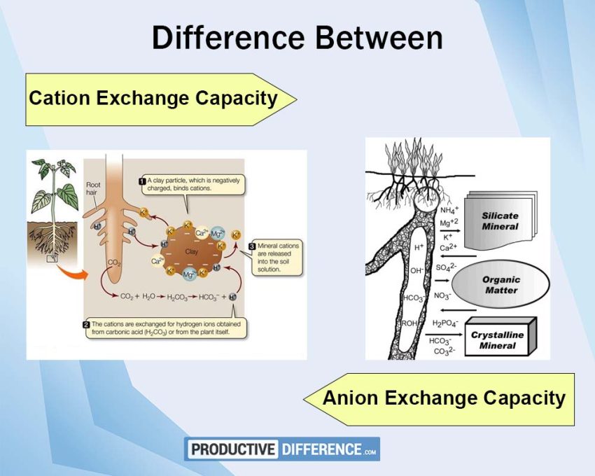Cation exchange Capacity and Anion Exchange Capacity
