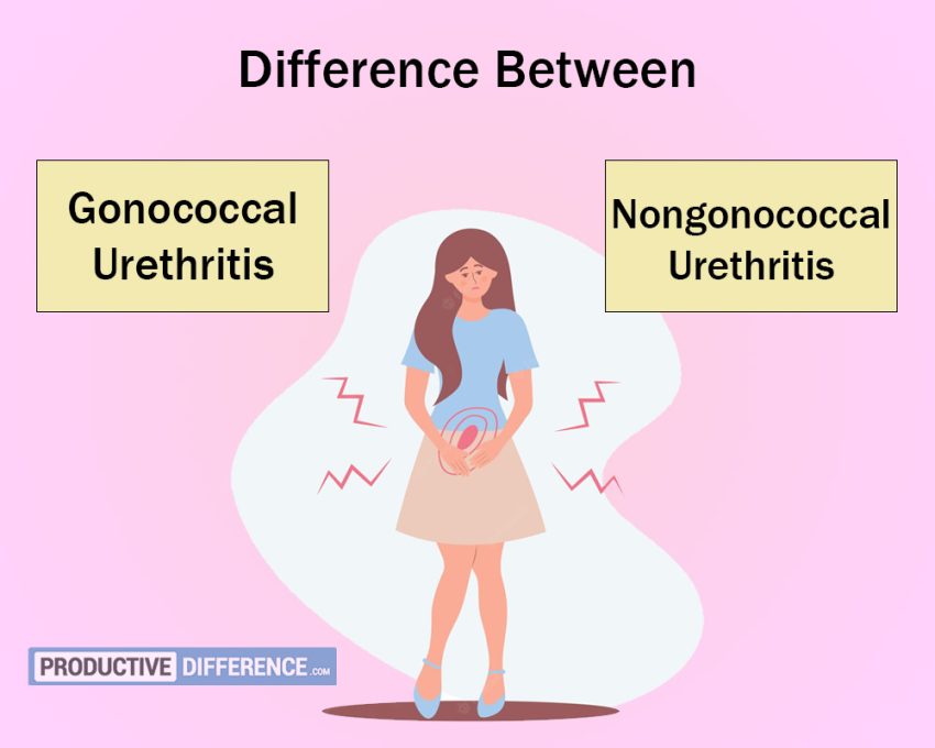 Gonococcal and Nongonococcal Urethritis