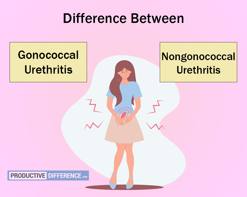 Gonococcal and Nongonococcal Urethritis