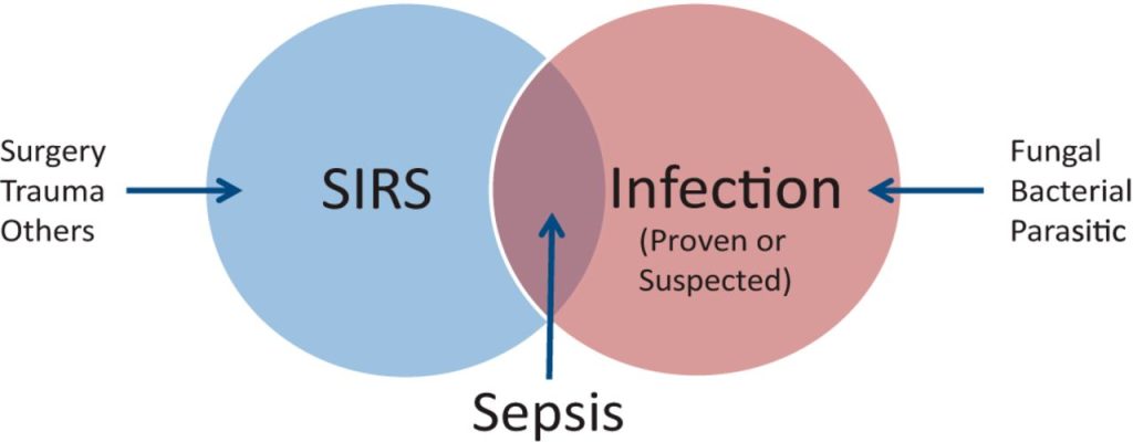 Difference Between Sepsis And Septicemia