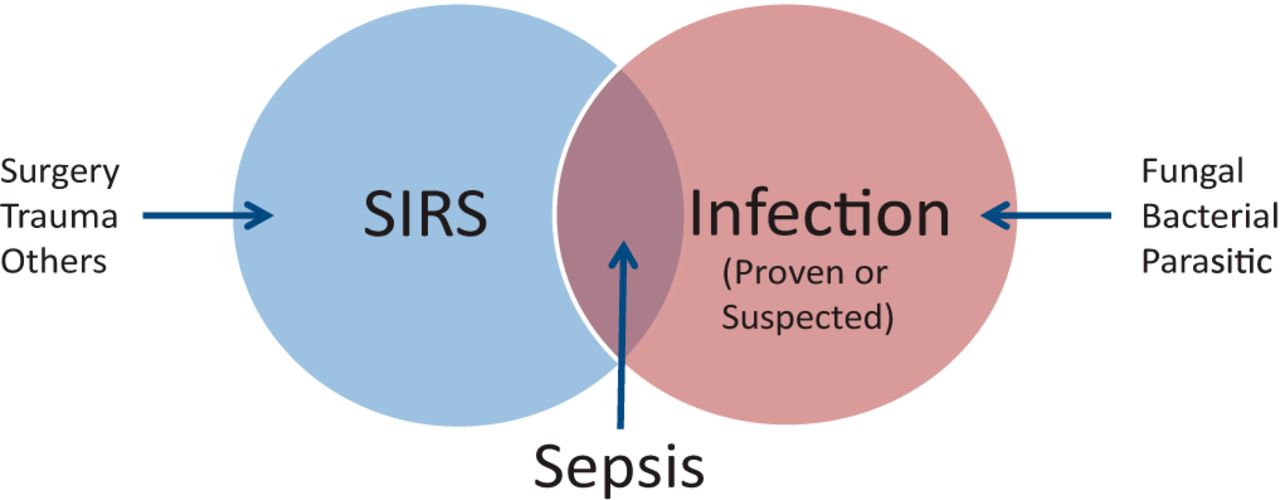 Sepsis and Septicemia