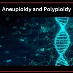 Aneuploidy and Polyploidy