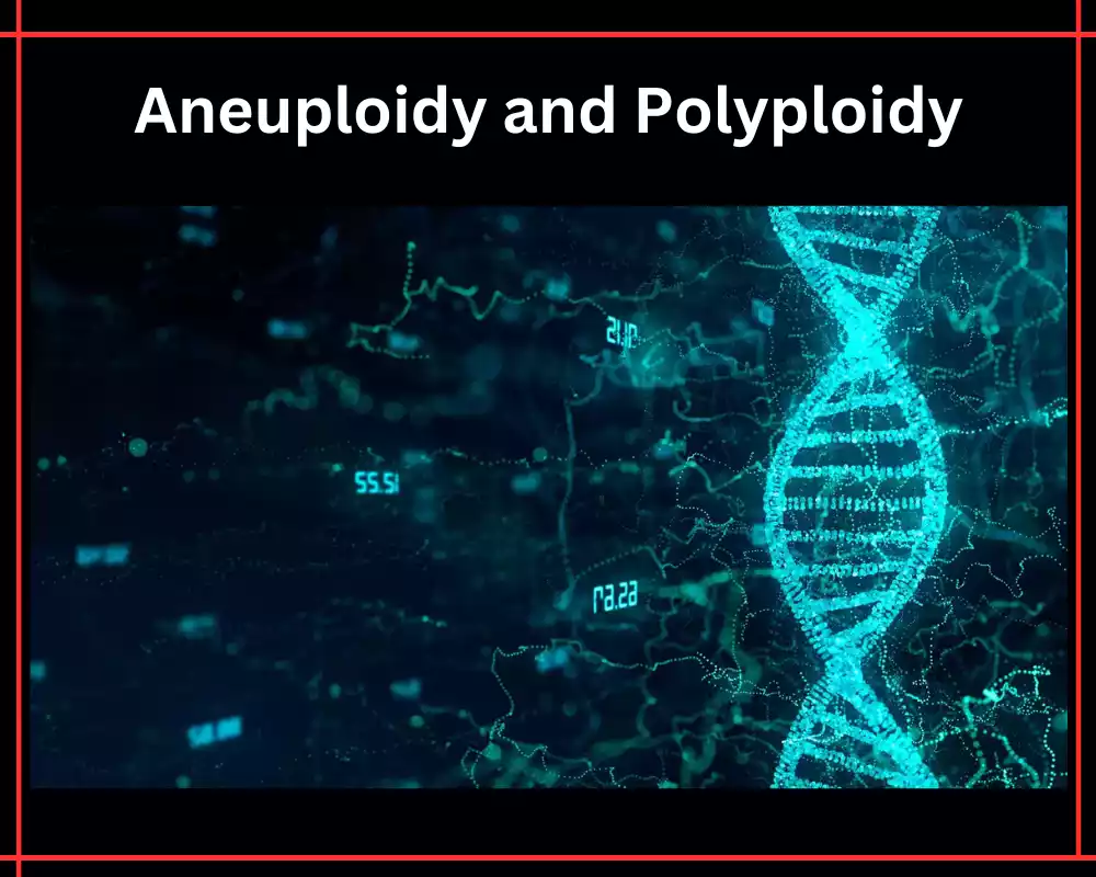 Aneuploidy and Polyploidy