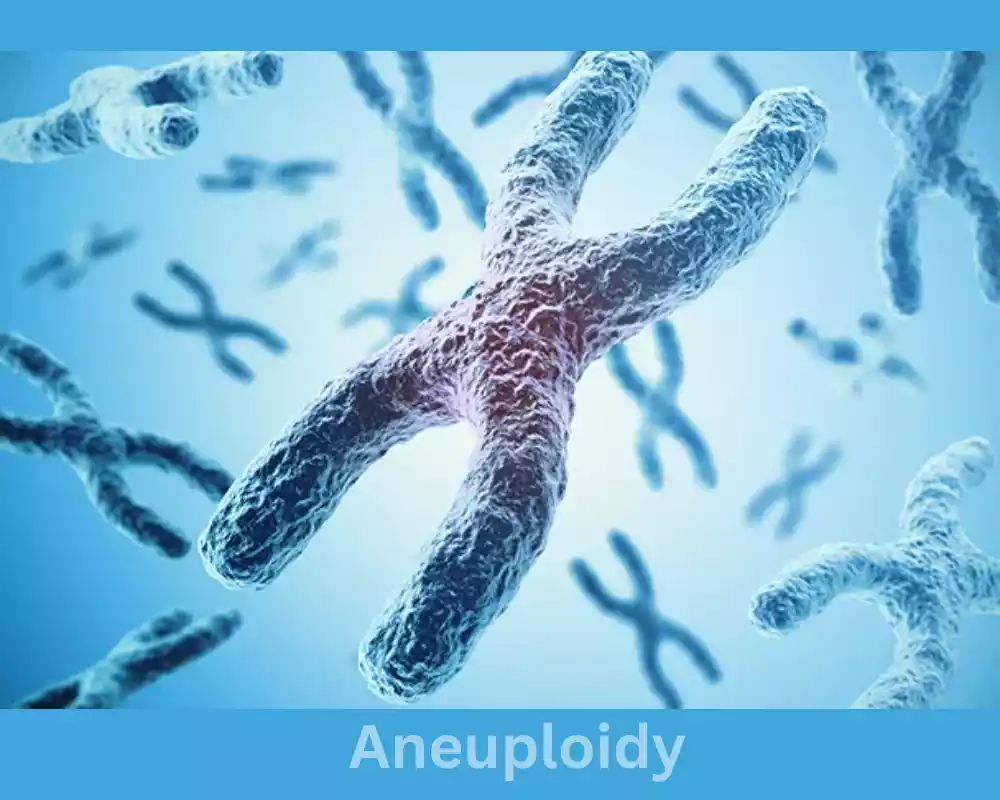 Aneuploidy