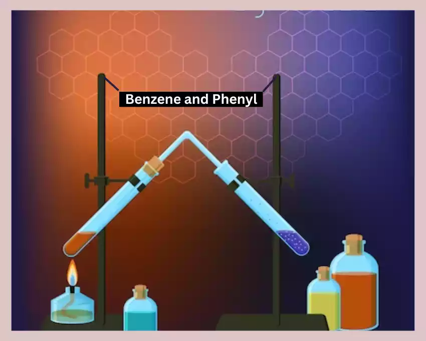 Benzene and Phenyl
