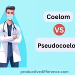 Coelom and Pseudocoelom