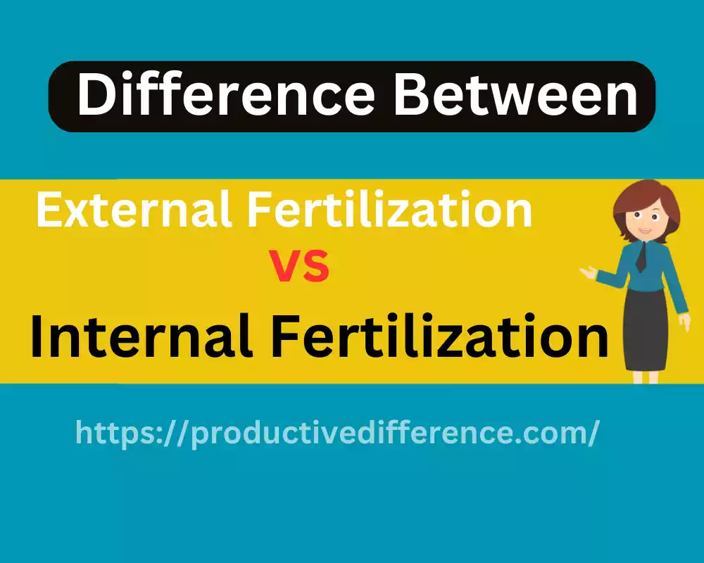 External and Internal Fertilization