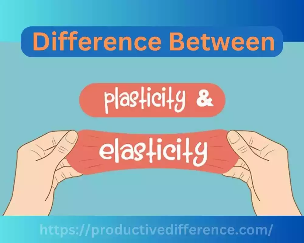 Plasticity and elasticity