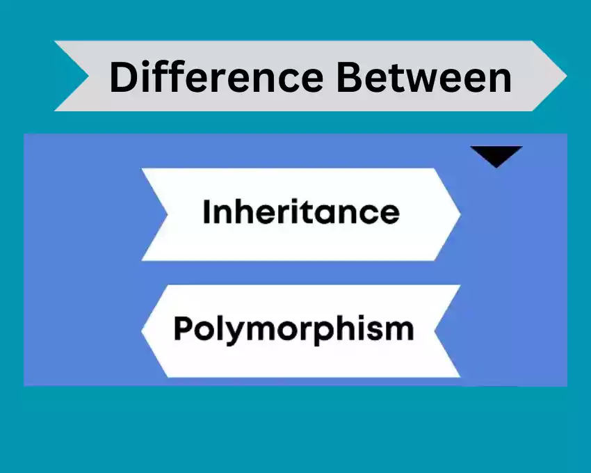 Polymorphism and Inheritance