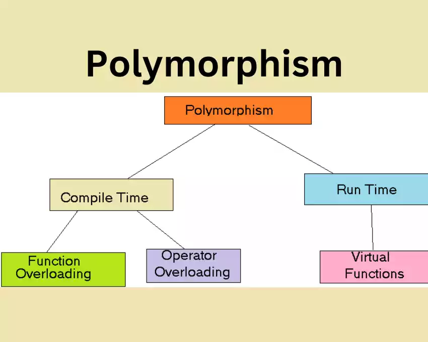 Polymorphism