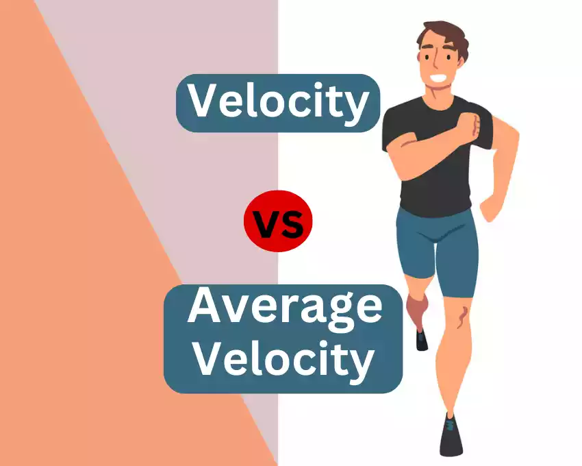 Velocity and Average Velocity