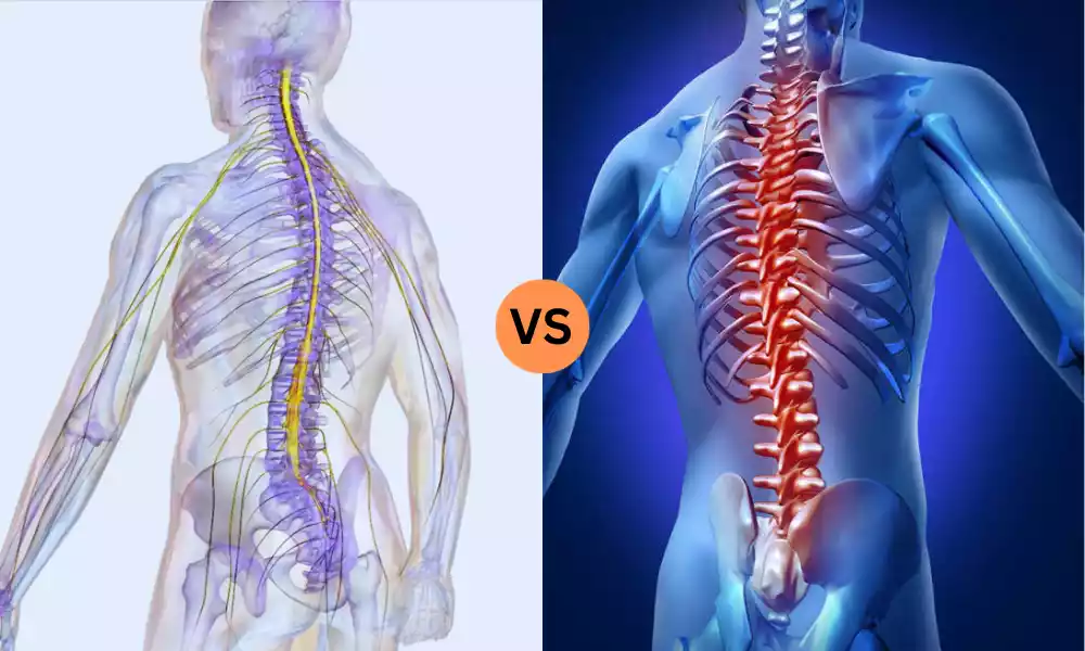 Neurogenic Shock and Spinal Shock