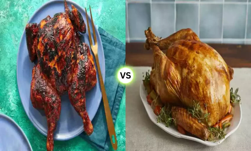Chicken vs Turkey