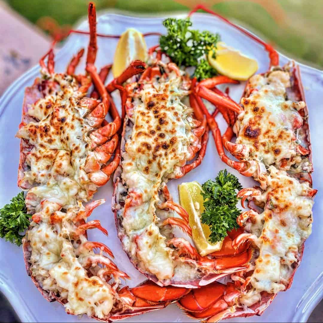 Lobster Culinary Uses