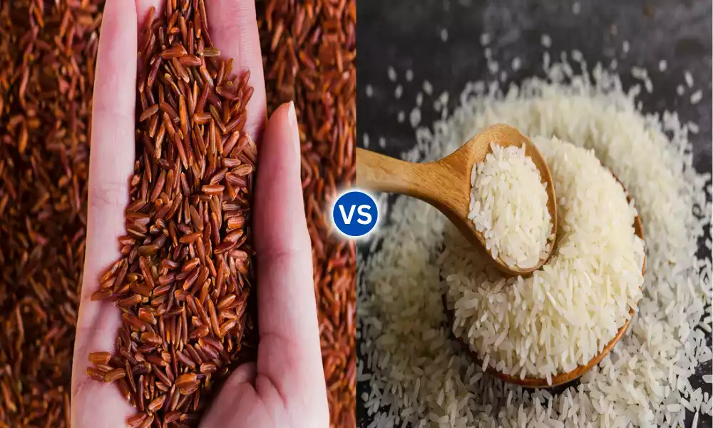 Rice vs White Rice